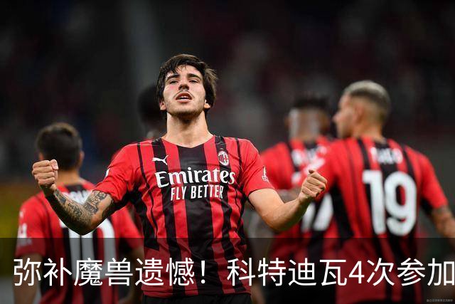 弥补魔兽遗憾！科特迪瓦4次参加世界杯 本届终迎淘汰赛